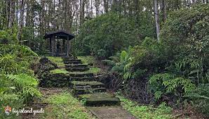 Maybe you would like to learn more about one of these? Take A Stroll Through Lava Tree State Park Big Island Guide