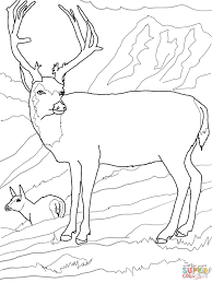 Search through 623,989 free printable colorings at getcolorings. Mule Deers Family Coloring Page Family Coloring Pages Deer Coloring Pages Family Coloring