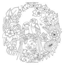 Coloring page with bird rhinoceros, zentangle illustartion hornb. Pin On Coloring Book Ideas