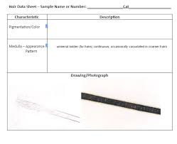 Earth science practice tests by topic. Please Help Me With This Worksheet The Subject Is Chegg Com