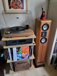 Salk SuperCharged SongTowers have landed! : raudiophile