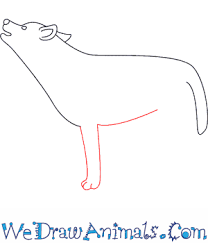 Easy, simple but cute drawing tutorial for kids, teens, and any. How To Draw A Wolf Howling