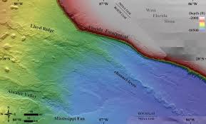 Boem Northern Gulf Of Mexico Deepwater Bathymetry Grid From