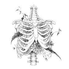 Midasauriferous Cute Tattoos Surreal Tattoo Skeleton Drawings