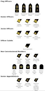 military pay chart and rank insignia proper military ranks