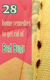 28 effective home remedies to get rid of bed bugs rid of bed bugs bed bugs bed bug remedies