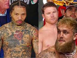 Is Jake Paul vs Gervonta Davis a circus or real fight?