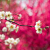 This search result page is the central page for nature photography and free nature stock photos on pexels. Https Encrypted Tbn0 Gstatic Com Images Q Tbn And9gcs3iis Guni8 Yhudk2e2llyr7hqqdnd06l4o Uukw Usqp Cau
