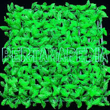 Check spelling or type a new query. Jual Murah Rumput Artificial Rumput Aquarium Rumput Hias Sintetis Nyiur Di Lapak Propertycare Bukalapak