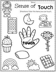 5 Senses Planning Playtime Senses Preschool Five Senses Preschool Five Senses Kindergarten