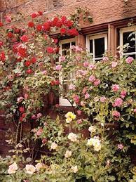 Pin On Farming And Gardening
