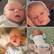 Happiest Hounds Dog Training‎