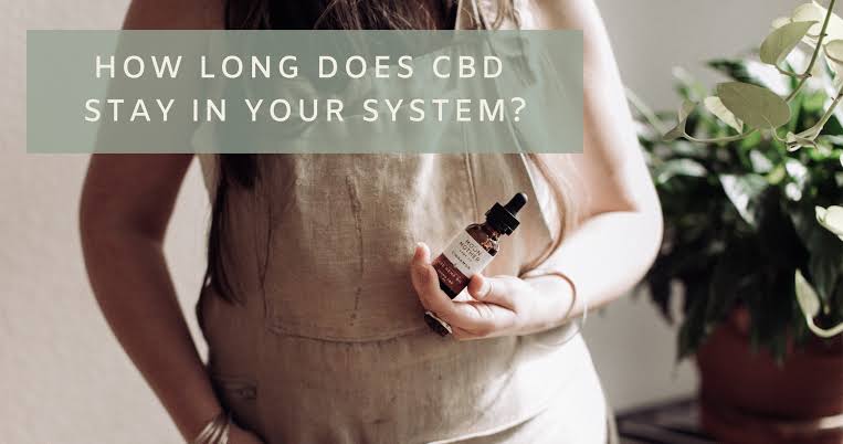 How Long Does CBD Stay in Your System? 2026 Guide