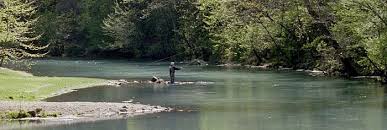 Fly Fishing Wikipedia