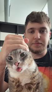 @PunchingCat's video Tweet