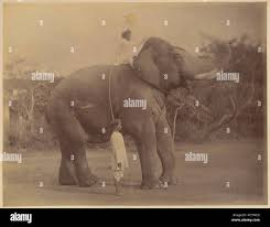 Lala deen dayal hi-res stock ...
