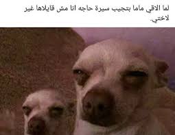 Pin On تسالي فرفشه ضحك فكاهة مسخرة فله ألش تحشيش فرفشه اﻻبتسامات نكت وناسه هبل جنان طرائف كوميدي قفشات Hilarious Funny Lol Nokat Comics Gags Du