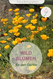 14 Wildblumen Fur Den Garten In 2020 Garten Bienenfreundlicher Garten Bienenfreundliche Pflanzen