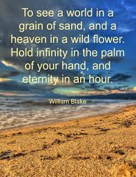 See A World In A Grain Of Beach Sand With Microphotography Beach Bliss Living Sand Quotes Grain Of Sand Beach Quotes