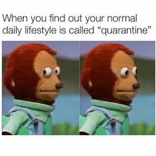 240p 1080p meme on sizzle. These Coronavirus Memes Explain How We Feel To Be Out Of Quarantine Film Daily