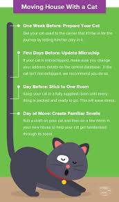 Before the removal van arrives, it is advisable to place your cat in one room. Moving House With Pets Moving House With A Dog
