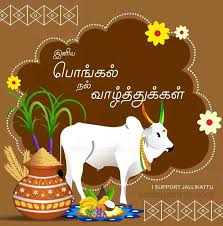 Your search for pongal 2020 ends here. Mersal Hareni On Twitter Wish You A Happy Thai Pongal