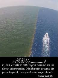 Mevlana Sozleri Ile Ilgili Gorsel Sonucu Allah Islam Islamic Quotes Islam