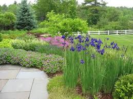 Although Not A Small Garden This Design Highlights Each Particular Perennial By Grouping Like W Traditional Landscape Backyard Water Feature Landscape Design