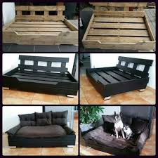 Maybe you would like to learn more about one of these? Dog Bed Pallet Diy New Daily Offers Insutas Com