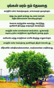 Agro Image By Vedhasundaram Samidhurai Nature Quotes Save Trees Cute Quotes For Life