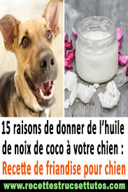 15 Raisons De Donner De L Huile De Noix De Coco A Votre Chien Recette De Friandise Pour Chien Astucesmaison Conseiletastuces Sante Truc Food Condiments Salt