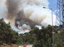 Στην επιχείρηση κατάσβεσης επιχειρούν 21 πυροσβέστες με οκτώ οχήματα Fwtia Twra Sto Seix Soy Sth 8essalonikh H Apopsh