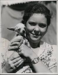 1934 Press Photo Prize-Winning Chihuahua Dog, Owner Nancy Wickham,  California