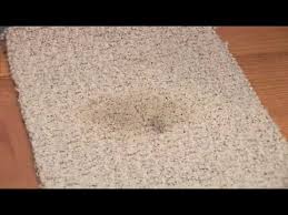 Welcome to love your rug! How To Get Vomit Out Of Carpeting Youtube