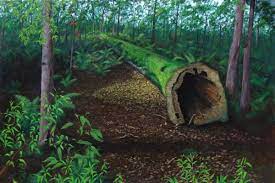 Fallen Tree Original Landscape Painting Original Art Painting Tree Painting
