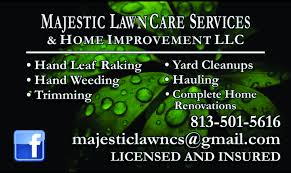 A family medicine doctor specializes in the comprehensive prevention, diagnosis, treatment, and ongoing care for a wide range of conditions. Majestic Lawn Care Services Home Improvement Llc 1 341 Photos Landscape Company 11409 Dutch Iris Dr Brandon Fl 33578