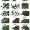 Maybe you would like to learn more about one of these? 1