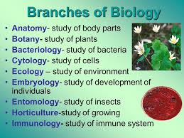 write 20 different branches of biology and define them