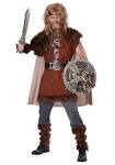 Viking costume