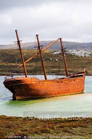 © 2006—2021 planetofbets all rights reserved. Nature In Stock