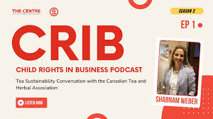 Full Playlist: Season 2 of the CRIB