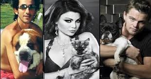 النجوم وعشق الحيوانات أجمل صور النجوم مع الحيوانات الأليفة والمفترسة تعكس ما يميزهم من رفق وطيبة Halloween Face Makeup Face Makeup Halloween Face
