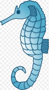 Like fish they have gills and they use them for breathing. Seahorse Seahorse Marine Mammal Animals Png Pngegg