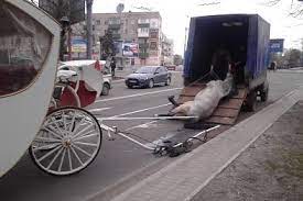 Все события с фото и видео. Top Novosti 0629 1 V Centre Mariupolya Umerla Interesnyj Kontent V Gruppe 0629 Com Ua Sajt Goroda Mariupolya