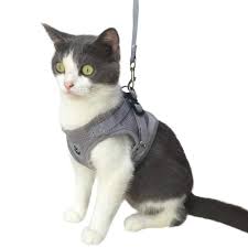 Mesh Cat Harness And Leash Set Escape Proof Cat Harness