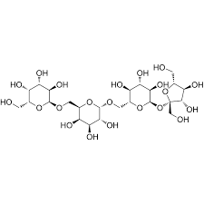 Image result for Albizia glaberrima