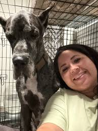 New pet sitter in Mesa Arizona seeking clients