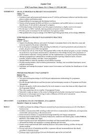 Format your resume in ms word for tables, margin now here you have highlighted that you are aware of project management skills, you strived to complete a project before time and your efforts. Program Project Management Resume Samples Velvet Jobs
