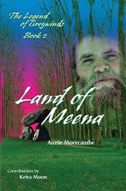 Land of Meena : Morecambe, Annie, Hemingway, John, Moon, Keira, Snyder,  Terri, Dyer, Jacqueline, Mejia, David: Amazon.ca: Livres
