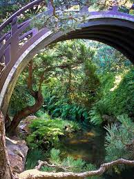 Https Www Facebook Com Pg Dougmark Productions 1845310815736740 About Japanese Tea Garden Japanese Tea Garden San Francisco Japanese Garden